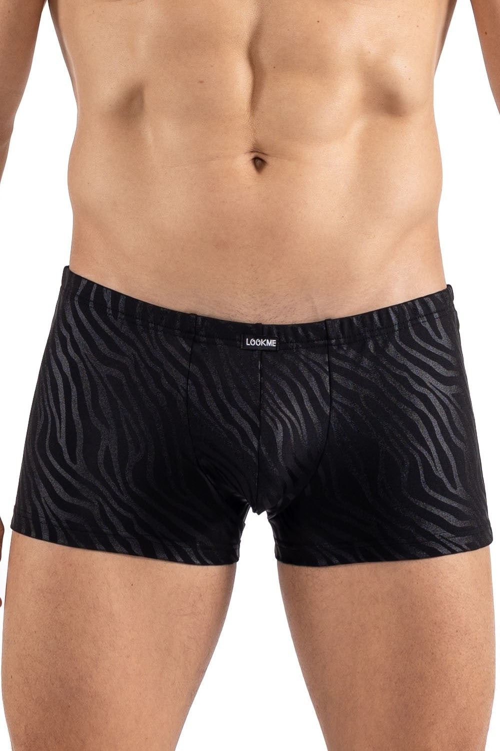 Boxer noir gold Zebra