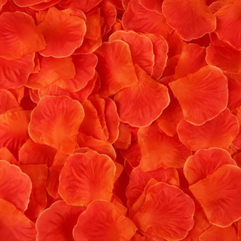 Pack de 100 Pétales de Rose